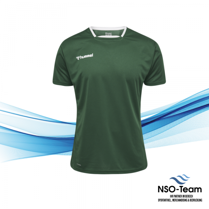 Hummel Authentic Polyester Trikot Online Shop NSO-Team