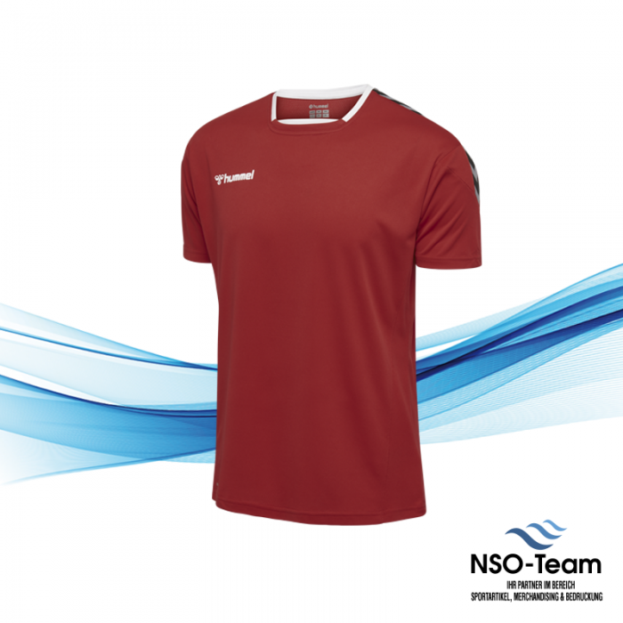 Shop Authentic NSO-Team Online Hummel Polyester Trikot
