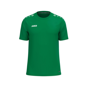 TSC Wellingsbüttel Fußball Trainingsshirt
