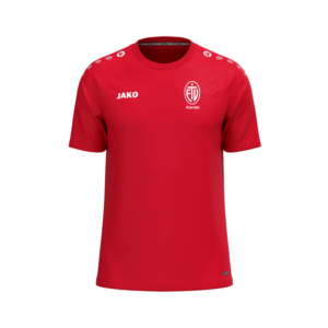 ETV Karate Trainingsshirt